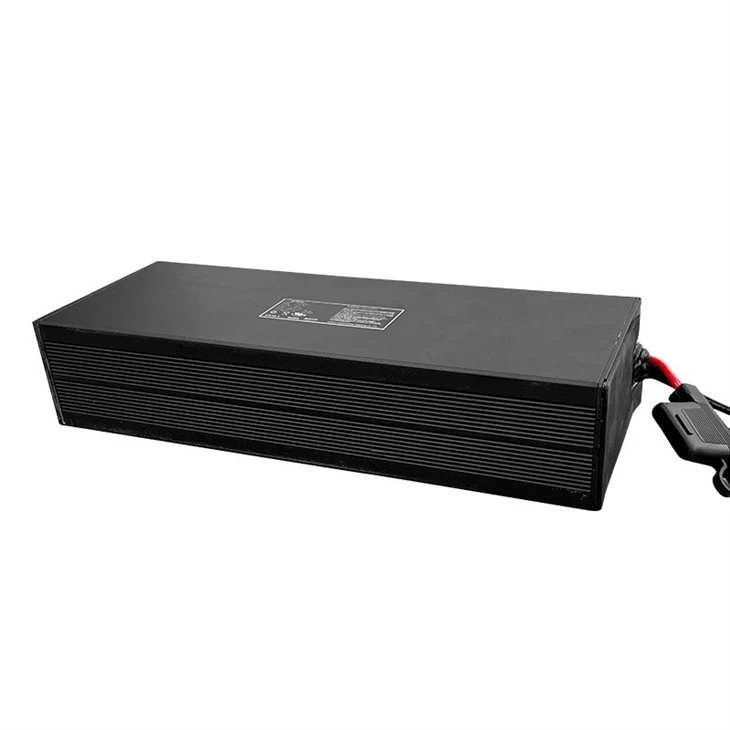 48v E Bike Battery price